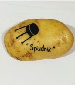 Unique and Hilarious Gag Gift: Send a Message on a Real Potato with Hand-Written Drawings and Pictures - Customize Personalize Anything on It, Quirky, Unique, Memorable, Handmade In The USA 10 61NOHBCOxOL