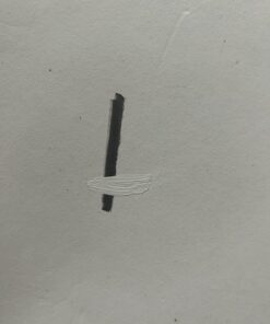 BIC Wite-Out Quick Dry Correction Fluid, 20 ml 33 61NPT6nuGzL