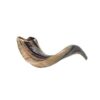 Judaica Mega Mall Kosher ODORLESS Polished Natural Rams Horn | Smooth Mouthpiece for Easy Includes Carrying Bag and Shofar Blowing Guide | Medium Size (12”-14”) (Jud-0651) 12"-14" 25 61NQ6mIM0L
