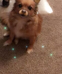 Alternative view of Nutri-Vet Aspirin for Dogs | Dogs Under 50lbs | 120 mg | 100 Count (Pack of 1)