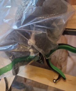 Dalen Fake Owl Decoy to Scare Birds Away from Gardens, Rooftops, and Patios - Scarecrow Provides Chemical-Free Pest Control - Safe and Humane, 18" 360º Rotating Head 31 61NTUqHrMFL