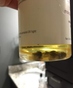 NOW Solutions, Apricot Kernel Oil, Hair Moisturizer, Rejuvenating Skin Oil, Softens Fine Lines, 16-Ounce 16 Fl Oz (Pack of 1) Standard Packaging 31 61NUq 5tDML 1