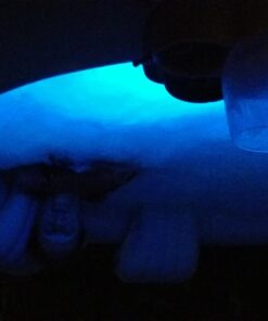 Intex B01NBYH7O8 PureSpa Battery Multi-Colored LED Light for Bubble Spa Hot Tub J, Multicolor 25 61Nbu667ZL