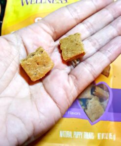 Wellness Soft Puppy Bites Natural Grain-Free Treats for Training, Dog Treats with Real Meat and DHA, No Artificial Flavors (Lamb & Salmon, 3-Ounce Bag) Soft Treats Lamb & Salmon 3 oz 33 61NgNxKq3eL