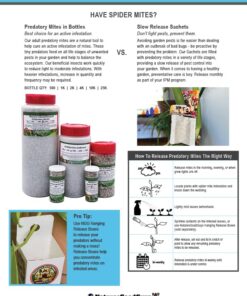 Amblyseius Swirskii (25,000 in Hanging Sachets) 10 61NjJgqVvL