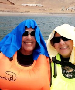 Cleantools The Absorber Synthetic Premium Drying Chamois Cloth for Car: Super Absorbent, Scratch-Free and Washable | 27-Inch x 17-Inch, Natural | Discontinued| Replacement PN: 14943 Single 18 61NlSgSbtGL