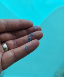 Intex Solar Pool Cover for 18' x 9' Rectangular Frame Outdoor Swimming Pools with Carrying Storage Bag, (Pool Cover Only), Blue Solar Cover 33 61NnOOVd sL