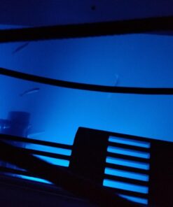 Jiawill 316L Stainless Steel Underwater 1/2" NPT 9 to 30V 27w Boat Drain Plug Light with Internal Driver and Overheat Protection 3 Years Warranty (Blue) Blue 43 61NoxYfshOL