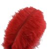 Sowder 10pcs Ostrich Feathers 12-14inch(30-35cm) for Home Wedding Decoration(red) Red