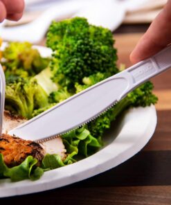 SOLO Cup Company Heavyweight Plastic Knives, 500 Count, White 5 61NrJ8IQOOL