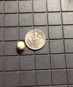 Replenish the Good Kids Vegan Probiotics | Antibiotic Recovery | Helps Support Kids' Immune & Digestive System | 15x More Effective Than Gummies | Sugar-Free, Easy to Swallow | 60 Tiny Pearls 23 61Nul8xEpL