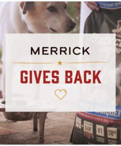 Merrick Grain Free Puppy Chicken Sweet Potato Recipe Dry Dog Food (4 lb) Puppy Real Chicken + Sweet Potato 4 Pound (Pack of 1) 25 61Nx0cL2rL
