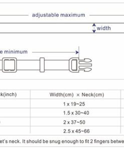 Blueberry Pet Essentials Spring Scent Inspired Garden Floral Adjustable Dog Collar in Baby Pink, Large, Neck 18"-26" Garden Floral - Baby Pink 11 61O d11sRFL 1