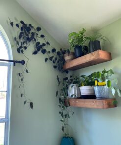 Command Outdoor Light Clips, Damage Free Hanging Light Clips with Adhesive Strips, Wall Clips for Hanging Outdoor Christmas Decorations, Lights and Cables, 20 Clear Clips and 24 Command Strips 20 Clips 43 61O0eUBzw2L