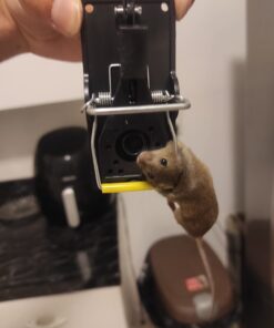 Mouse Trap Mouse Traps Indoor Mouse Traps for House Mouse Traps Outdoor Mice Traps for House Indoor 6 Pack M1-6 Packs 28 61OETPIr3fL