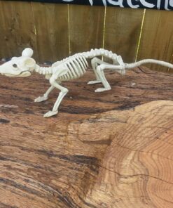 Crazy Bonez Skeleton - Rat Bonez 33 61OGnklIiL