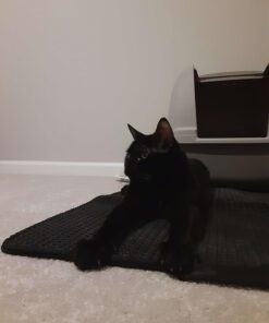 Catit Airsift Jumbo Hooded Cat Litter Pan, Warm Gray - Privacy and Easy Access for Cleaning - Ideal for Larger Cat Breeds or Multiple Cat Households 39 61OIFcyvRpL