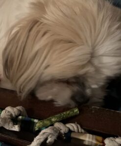 Dingo Tartar And Breath Dental Sticks For All Dogs, 48-Count 48 Count (Pack of 1) 27 61OP1HZ4oL