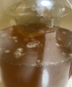 Kombucha.com Certified Organic Loose Leaf Tea - Kombucha Brewing Blends (Black/Green/White Tea Blend, 1 Pound). Makes up to 50 gallons. Mixed Tea Blend 1 Pound (Pack of 1) 13 61OS2FfOGL