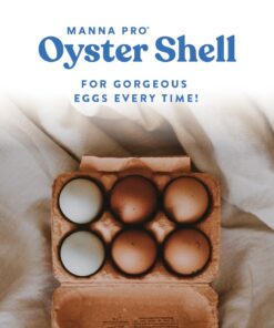 Manna Pro Crushed Oyster Shell Calcium Supplement For Laying Chickens - Poultry Treat - 5 lbs. 5 Pound (Pack of 1) 31 61OfRheyL