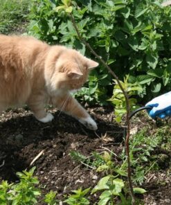 CobraHead® Original Weeder & Cultivator Garden Hand Tool - Forged Steel Blade - Recycled Plastic Handle - Ergonomically Designed for Digging, Edging & Planting - Gardeners Love Our Most Versatile Tool 47 61Ofhw 6KL