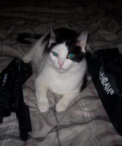 RetiCAM Tabletop Tripod with 3-Way Pan/Tilt Head, Quick Release Plate and Carrying Bag for Phones, Cameras and Spotting Scopes - MT01 Mini Tripod, Aluminum, Black 36 61OhYHyFSOL