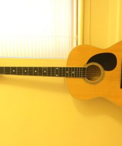 Guitar For Dummies Acoustic Guitar Starter Pack (Guitar, Book, Audio CD, Gig Bag) Only Guitar 53 61OpanQcqjL