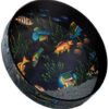 Remo OCEAN DRUM®, 22" Diameter, 2 1/2" Depth, Fish Graphic 22 Inches 22 61Ouwe0zpfL