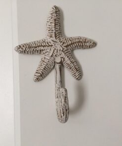 Park Designs Starfish Single Hook 30 61OwrJdH5mL