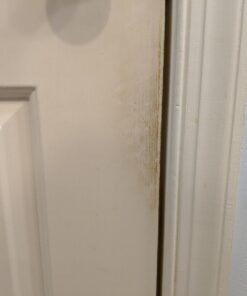 Mrs. Meyer's All-Purpose Cleaner Spray, Lemon Verbena, 16 fl. oz 16 Fl Oz (Pack of 1) 43 61OxuENQOpL