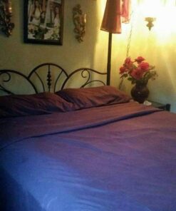 Cosy House Collection Everyday 1500 Series Bed Sheet Set - Ultra Soft & Cool Hotel Bedding - Deep Pocket - Wrinkle, Stain and Fade Resistant - 4 Piece Set (King, Purple) King 25 61P0cJym0jL