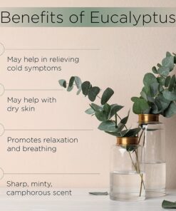Radha Beauty Eucalyptus Essential Oil 4 oz - 100% Pure & Therapeutic Grade, Steam Distilled for Aromatherapy, Relaxation, Shower, Sauna, Bath, Steam Room and other DIY Projects. 4 Fl Oz (Pack of 1) 24 61P4dwKZx9L 1