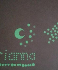 Glow in The Dark Stars Wall Stickers, Adhesive Dots and Moon for Starry Sky, Galaxy Decor Bright and Realistic for Any Room (Green) Green 39 61PCO1voJL