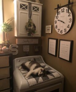 Litter Genie Plus Pail (Black) | Cat Litter Waste Disposal System for Odor Control | Includes 1 Square Refill Bag 43 61PF37acrKL