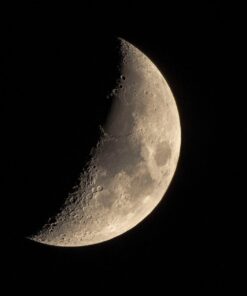 Nikon AF-S FX TC-14E III (1.4x) Teleconverter Lens with Auto Focus for Nikon DSLR Cameras 23 61PGu6UEVML