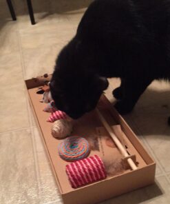 The Natural Pet Company Cat Toys Collection in Gift Box 22 61PHFiB6gNL 1