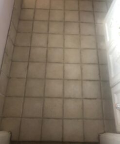 Green Performance GP107 Peroxide Cleaner 1 Gallon 13 61PHrJpvj2L