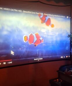 TMY Native 1080P Projector with 5G WiFi and Bluetooth 5.1, 13000 Lumens 4K Supported Mini Projector, Portable Projector Compatible with TV Stick/Phone/PC/DVD/HDMI/AV/USB/SD, Outdoor Movie Projector 52 61PK6MnVDWL