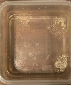 Popit! 8 Clear Food Storage Containers Set, Microwave and Freezer Safe, Little Big Box 30 61PKdrF2AwL