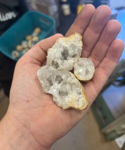 DANCING BEAR 25 Break Your Own Geodes, (Medium 1-1.5") 90% Hollow, Crack Open & Discover Amazing Surprise Crystals Inside! Educational Info and Instructions Included, Fun Party Favors & Prizes Medium (1-1.5") 31 61PP1VcEKdL 1