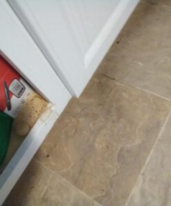 Fresh Cab Botanical Rodent Repellent - Environmentally Friendly, Keeps Mice Out, 4 Scent Pouches 22 61PQRQ3YfL