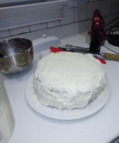 STERILITE Cake Server, 1 pack, White 32 61PXrnWpSNL