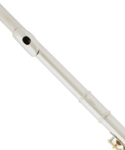 Mendini By Cecilio Flutes - Closed Hole C Flute For Beginners, 16-Key Flute with a Case, Stand, Lesson Book, and Cleaning Kit, Musical Instrument for Kids, Nickel with Gold Keys 11 61PZEzhaeuL