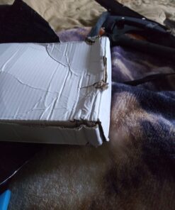 MASTER USA 2312B Sai KnifeBlack 21.5-Inch 11 61PaEJZBL6L