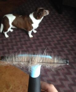 Pet Grooming Dog & Cat Brush For Shedding, Effective for Long & Short Hair Pet Grooming Tool, Reduces Dogs and Cats Shedding Hair By More Than 95%, The Professional Deshedding Tool 38 61PgoopBpBL