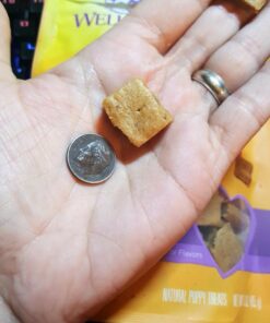 Wellness Soft Puppy Bites Natural Grain-Free Treats for Training, Dog Treats with Real Meat and DHA, No Artificial Flavors (Lamb & Salmon, 3-Ounce Bag) Soft Treats Lamb & Salmon 3 oz 34 61PhCQo4riL