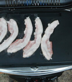 Coleman Swaptop Aluminum Griddle Accessory, Non-Stick Griddle Accessory for RoadTrip Grills, Creates 285 Sq. In. of Cooking Space for Camping, Tailgating, Grilling, & More 23 61PjT1De0FL