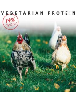 Manna Pro Harvest Delight - Whole Ingredient Chicken Treat - Harvest Mix of Grains, Raisins, Tomatoes, Carrots, Sunflower Seeds - Mixed Flock Poultry Treat - 2.5 lbs 22 61PlmmcTymL