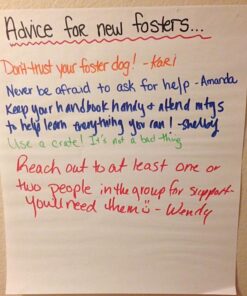 SHARPIE 22478 Flip Chart Markers, Bullet Tip, Colors may vary, 8-Count, Colors may vary(Box) 14 61Po01YwYcL