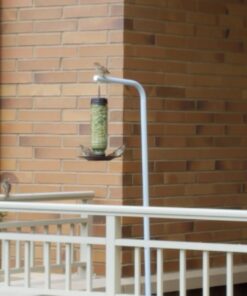 More Birds Songbird Vintage Bird Feeder, Sunflower and Thistle Feeder, 4 Feeding Ports, 1.5 lb Seed Capacity Vintage Glass 25 61Poa7E2XML